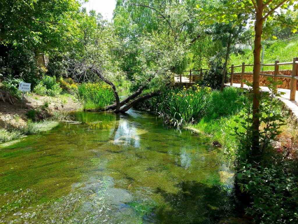 فندق Complejo Ribera De Salobre المظهر الخارجي الصورة