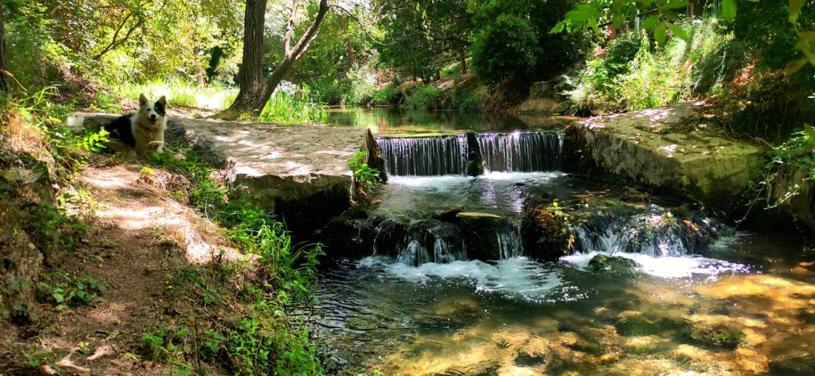 فندق Complejo Ribera De Salobre المظهر الخارجي الصورة